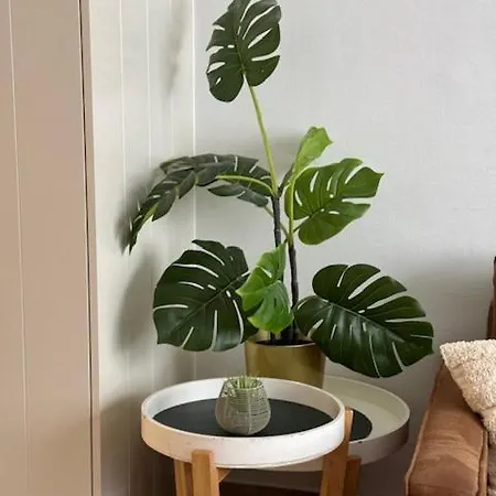 Appartamento Duinenwachter