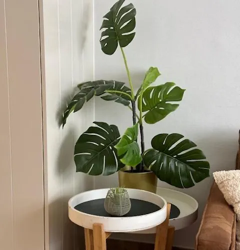 Appartamento Duinenwachter